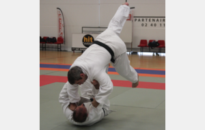 Focus sur les randoris