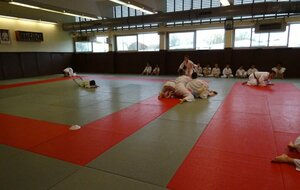 5fc15bd9dda5b_004.jpg