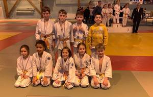 District Poussins / Poussines