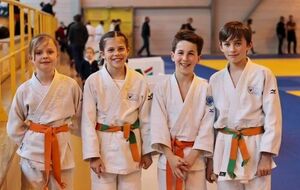 Championnat Départemental Benjamins / Benjamines